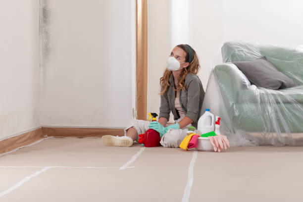 Reliable Mold Testing contractor in Goldston, NC by WQB Mold Removal